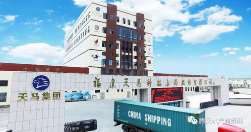 二手车交易市场经营 从车源到服务的全链条管控之道